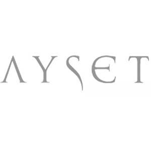 Ayset Logo